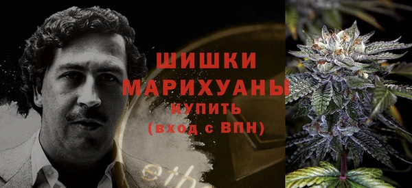 бошки Каменка