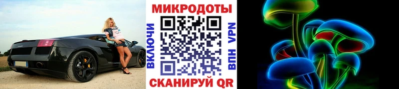 Галлюциногенные грибы Psilocybe Калининград