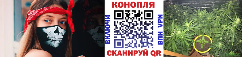 МАРИХУАНА THC 21%  Купить закладки  Калининград 